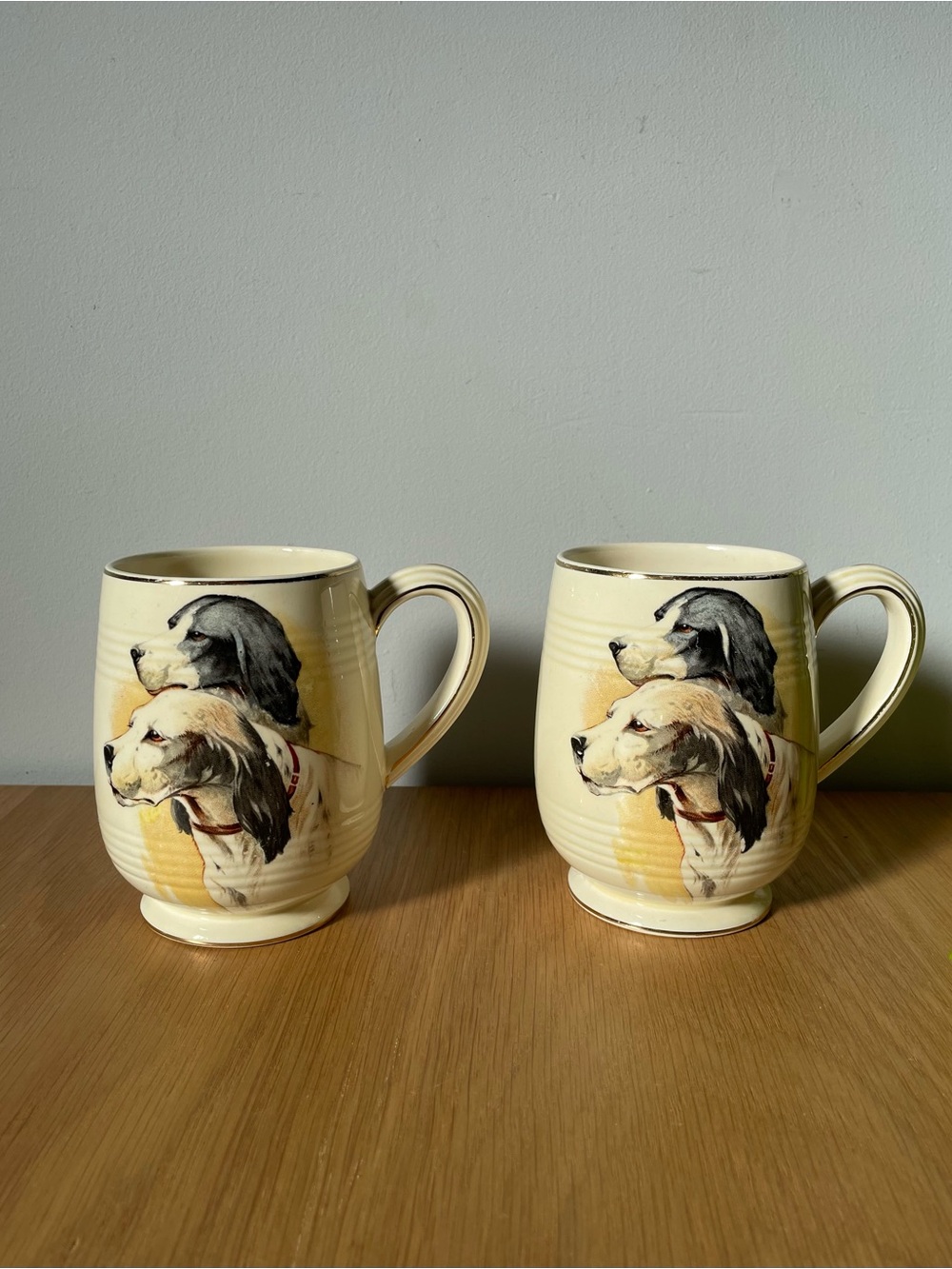 Rare Vintage Midcentury Wedgwood & Co Ltd English Setter Dog Mugs Matching Pair